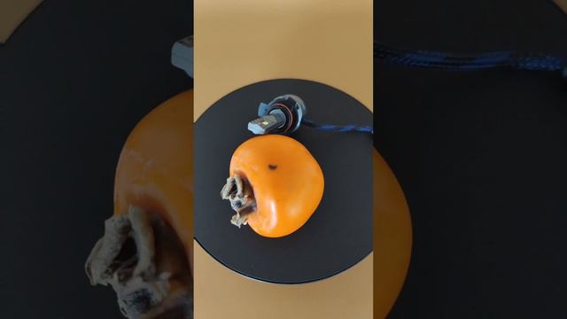 Chinese OEM Supplier,hir2 9012 Led Chinese Factory Address,hir2 9012 Led Chinese Factory Accident,