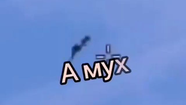 а муха тоже вертолет... (cs go) смотреть онлайн