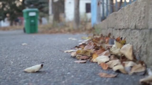 Sony SLT A35 1080P Video/Image(RAW) Test смотреть онлайн