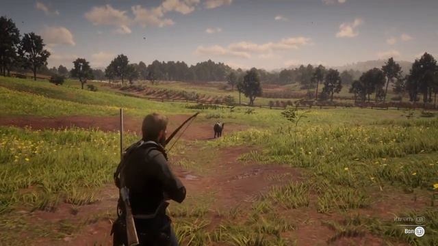 Охота на быка с помощью лассо в RDR2 смотреть онлайн