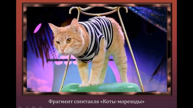 Театр кошек Куклачева.mp4 смотреть онлайн