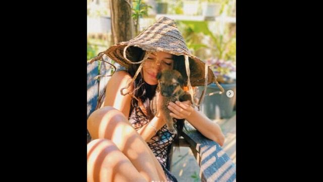 СОБАКИ Батуми и Кобулети 2021 г ძაღლი Аджария Грузия смотреть онлайн