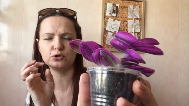 НАКОНЕЦ ТО Я ЭТО КУПИЛА)))) смотреть онлайн