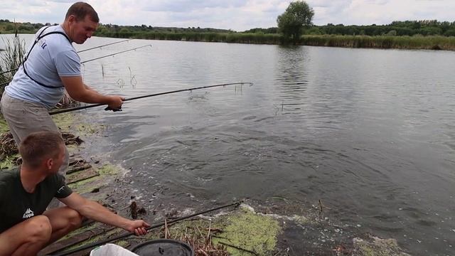 Крупные Амуры дают дрозда нарезка 7.mp4 смотреть онлайн