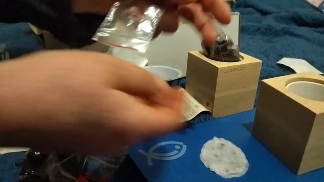 экокуб подготовка семян голубой ели и лаванды. смотреть онлайн