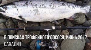 Трофейная сима. Лангери, Сахалин.