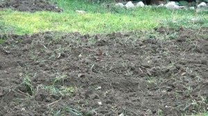 ИСПЫТАНИЕ - фреза - ротоватор и лапки с утяжелителем (мотоблок)