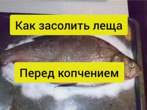 Как засолить леща для горячего копчения в домашних условиях.