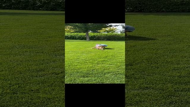 Парк Галицкого. Краснодар.