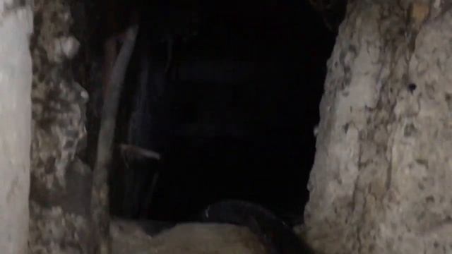 Пом.#11. М.Горького, 98 смотреть онлайн