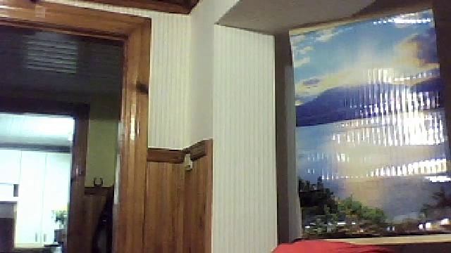 Видео c веб-камеры от 5 декабря 2015 г., 05:25 (UTC) смотреть онлайн