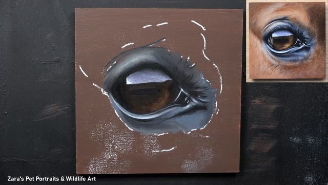 How to paint a horse eye in acrylics | Step by step tutorial смотреть онлайн