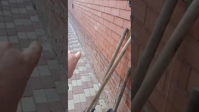 Треснул дом .Армавир ул. Каштановая часть 1 . Устраняем трещины, что делать если треснул дом????? смотреть онлайн