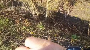 За металлом на ниве ... неожиданные находки https://t.me/prometallokop