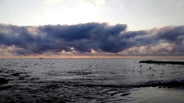 Закат и чайки (timelapse).mp4