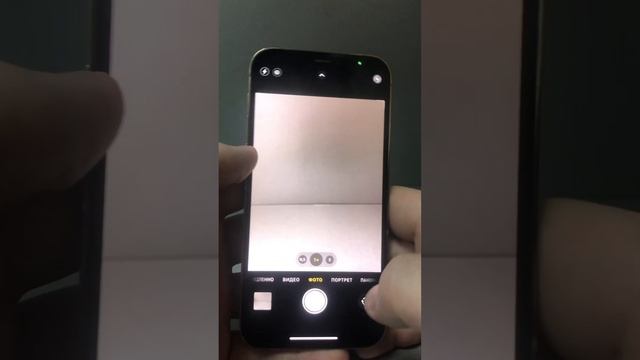 17 ноября 2023 г. смотреть онлайн