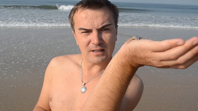 Морская звезда на берегу городка Бага в ГОА, Индия смотреть онлайн