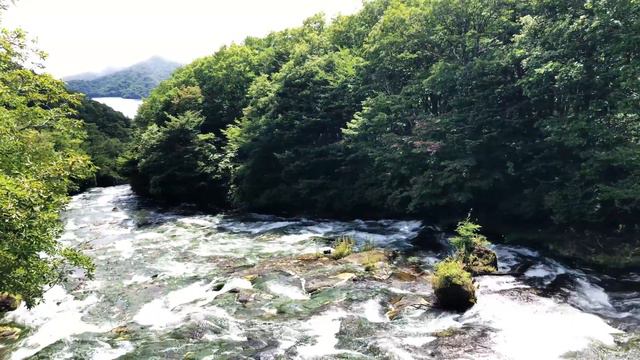 RYUZU FALLS - DRAGON FALLS NIKKO JAPAN 竜頭ノ滝 смотреть онлайн