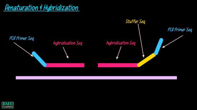 Multiplex Ligation Dependent Probe Amplification | MLPA | How To Perform MLPA |