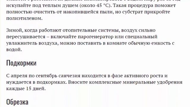 Санхеция. Уход в домашних условиях. Фото. Почему опадают листья? Размножение и пересадка. смотреть онлайн