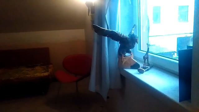 Стихи о Болдерае смотреть онлайн