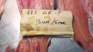 Горбуша 2024 ОАА фото