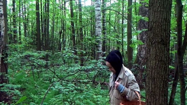 Грибы 14.07.2023. На жарёху белых за полчаса. смотреть онлайн