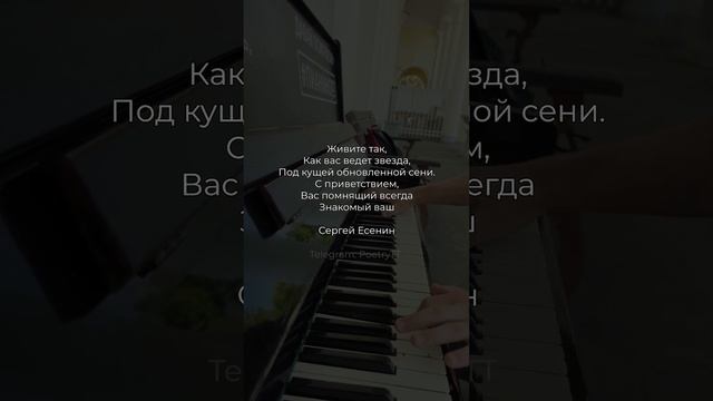 Наш любимый знакомый Сергей Есенин #поэзия #стихи смотреть онлайн