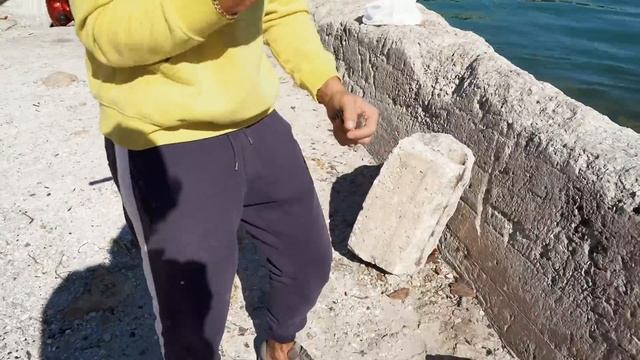 Catching TROPICAL COLORFUL FISH For My Saltwater POND!!