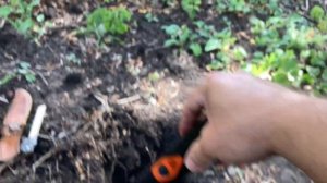 Сфинкс 01 Лучший пинпоинтер.Цена 7500 р Продаю новый