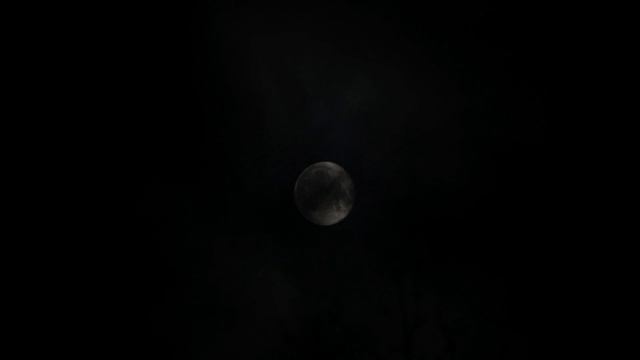 Мудрости жизни от Омара Хайяма, Уильяма Блэйка. Цитаты о жизни с великим смыслом смотреть онлайн