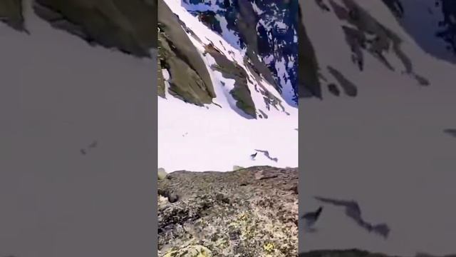Спуск козла с горы смотреть онлайн