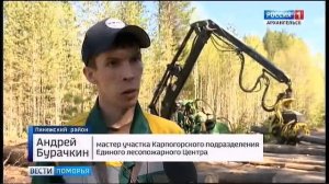 К выборочным рубкам приступили в леспромхозах группы компаний "Титан"