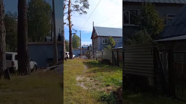 Дача, лес, свежий воздух😃🥰🤩 смотреть онлайн