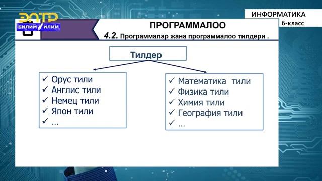 Информатика 6-класс. Программалар жана программалоо тилдери. смотреть онлайн