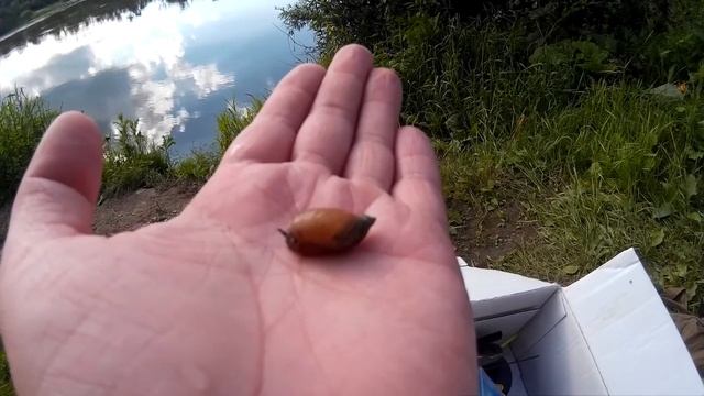 Рыбалка на реке Иня с подписчиком! (Батя в здании) смотреть онлайн