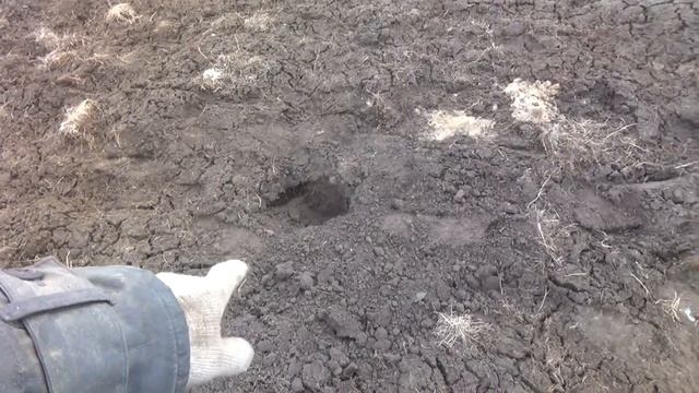 Скатался покопать и не зря смотреть онлайн