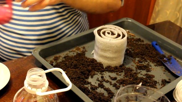 Учимся сажать рассаду клубники. Сажаем рассаду в улитку. Сажает Сергей смотреть онлайн
