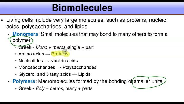 Basic Themes in Biochemistry & Chemical Foundation смотреть онлайн