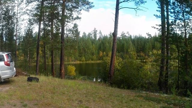 ВЛОГ | РЫБАЛКА | КЕМПИНГ В ЛЕСУ | КРАСОТА ИРКУТСКОЙ ОБЛАСТИ | смотреть онлайн