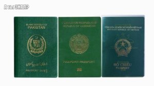 Паспорта мира четырёх цветов. Значение цвета обложки паспорта