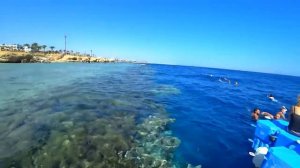 Шарм Эль Шейх пляж Hilton Sharm Waterfalls Resort 5- обзор отеля Хилтон в Египте. Красное море 2021