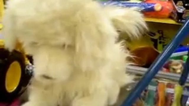 Собака-игрушка в магазине смотреть онлайн