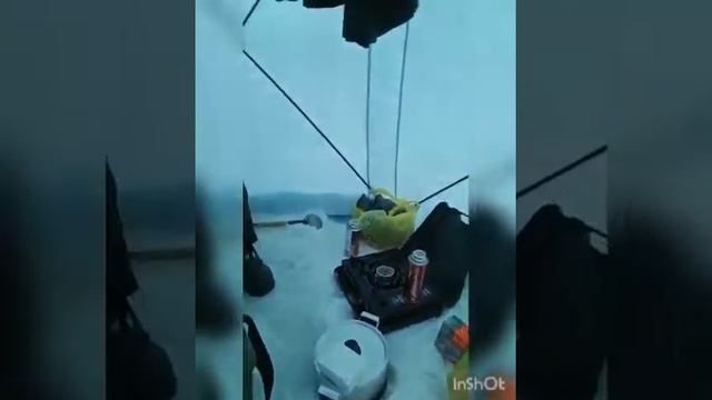 рыбалка барнаул смотреть онлайн