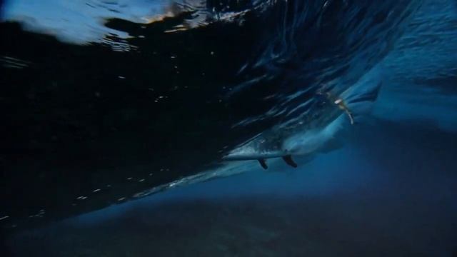 Музыка из рекламы Apple Watch Series 3 2017 online video cutter com 1 смотреть онлайн