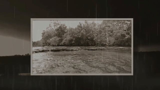 The Mysterious Disappearance of Randy Leach | True Horror Story смотреть онлайн