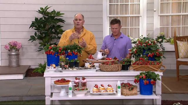 Roberta's 6-piece Strawberry Patio Edibles on QVC смотреть онлайн