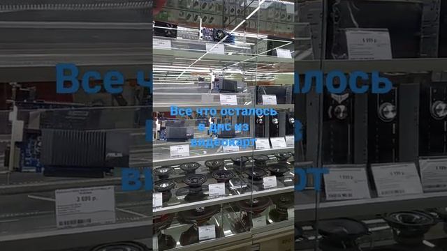 все что осталось в днс из видеокарт смотреть онлайн