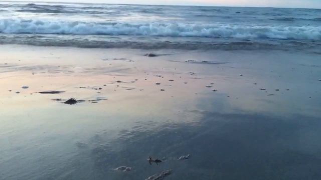 Балтийское море. Лето 2016 смотреть онлайн