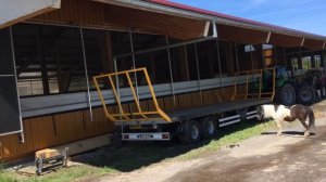 Ферма в Германии,Бычки